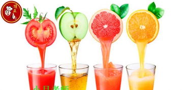 萬元以下冷飲加盟指南 低成本打造特色冰爽事業