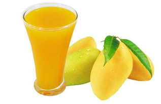 夏日飲品店經營之道 冷飲為主，四季均衡